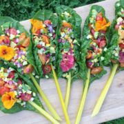 Swiss Chard Sprig Salad
